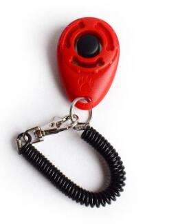 Training clicker in red