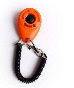 Training clicker in orange
