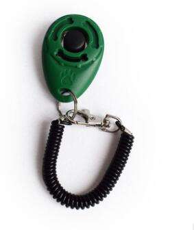 Training clicker in dark green