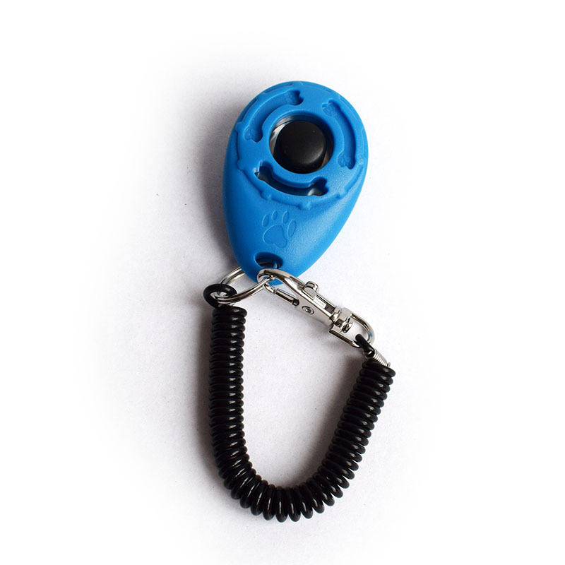 Training clicker in aqua blue