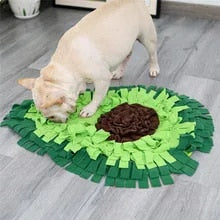 Avocado shaped snuffle mat