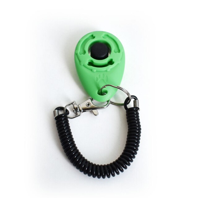 Training clicker in light green