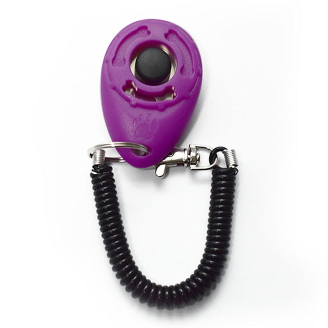 Training clicker in purple