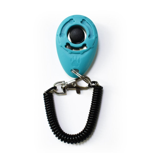 Training clicker in teal