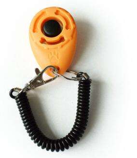 Training clicker in light orange