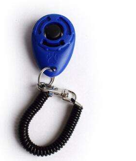 Training clicker in dark blue