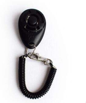 Training clicker in black