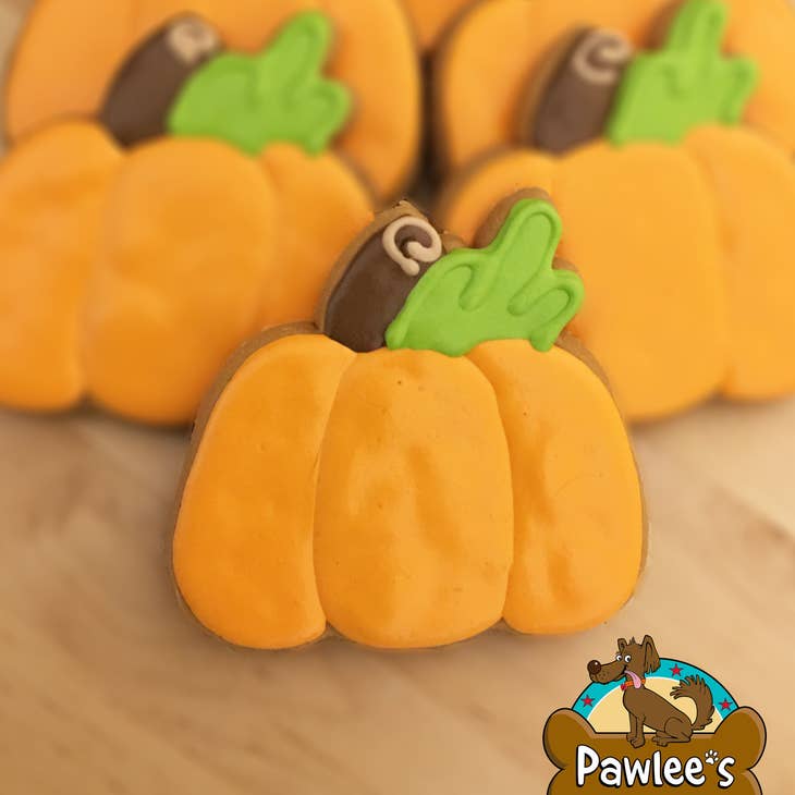 A pumpkin shaped dog cookie