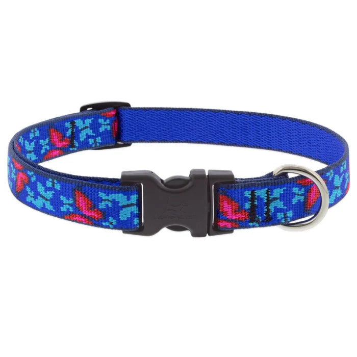 Lupine Pet Social Butterfly Collar