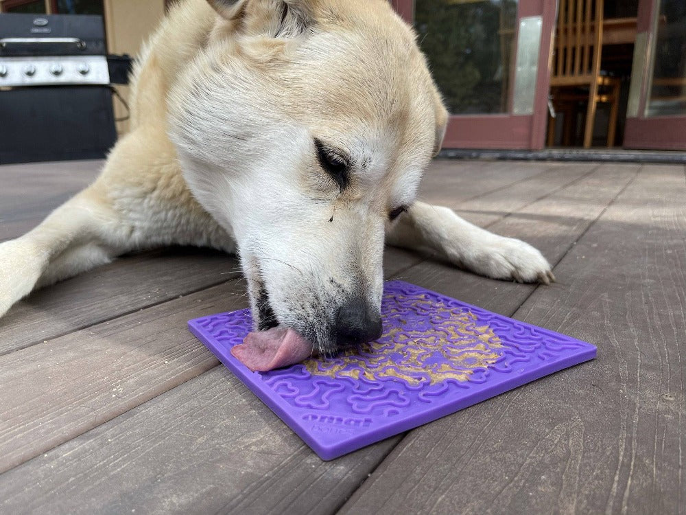 Bones Design Enrichment Lick Mat